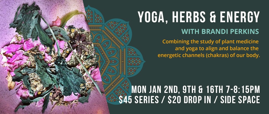 Yoga, Herbs & Energy with Brandi Perkins