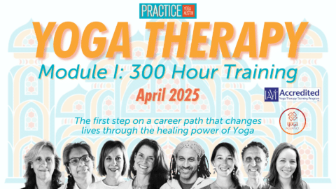 Practice Yoga Austin | Absurdly High Quality Donation Yoga