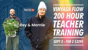 Vinyasa Flow Yoga Teacher Training